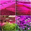 LED Grow Lights Full Spectrum Plant Light Vith Verg and Bloom Doubleスイッチ、調整可能なロープ、屋内植物の野菜と花のUSALightのランプを栽培します