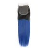 Ombre 1B/Blue Brazilian Straight Human Hair Bundles