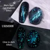 NXY Nail Gel Luminous Cat Magnetic Polish Set med magnetpinne Glitter Lack Soak Off UV LED-lacker 0328