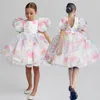 Fluffy Christmas Girls Princess Dress Flower Year Baby Kids Wedding Party Prom Gown Tulle Elegant Summer Children Dresses 220426