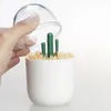 Toothpick Holders For Cotton Wheels Plastic Cottons Swab Holder With Cute Cactus Trees Rabbit Table Accessories 20220617 D3