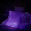 Night Vision 51 LED Ultra Violet Scorpion Hunting Torcia Torcia a LED UV Luce nera