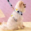 Jacquard Pets Harnesses Leashes Set Outdoor Travel Dogs Collars Leash Designer Pet Harness Two Colors