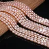 Other A// Natural Freshwater Pearl Pink Irregular Beads Used For Jewelry Making DIY Bracelet Necklace Size 5-6mmOther OtherOther Edwi22