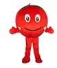 Costume de mascotte de tomate, tenue de jeu de fête, Costume de mascotte d'halloween pour adultes