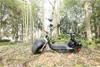 citycoco simple wide tire adult electric scooter with seat supports European warehouse delivery