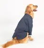 2022 犬アパレル高級デザイナー紳士服スポットビッグ大型犬少年ストライプ首輪スーツ服ペット用品卸売 3XL-7XL