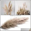 Decorative Flowers Wreaths Festive Party Supplies Home Garden 5 Sticks Light Color Wedding Bunch Natural Dog Grass Christmas Flower Big De