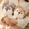 25 cm Simulazione Cane Peluche Giocattolo Husky Super Kawaii Likelife Anime Cane Grigio Bambola Peluche Cucciolo Animali Giocattoli per Bambini Regalo LA397