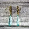 Dangle & Chandelier Elegant Water Drop Crochet Earrings For Women 2022 Fashion Crystal Bird Of Paradise Party Gift D321Dangle