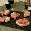 1pc Vastro rapido Vastro Vesti Vesti scongelati Meat Frutta Meat Frutta veloce Sceplitura a piastra Sfrone i vassoi scongelati gadget da cucina master