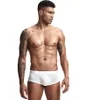 Caleçon ceinture translucide sans couture hommes glace soie sous-vêtements créatif Sexy BoxerUnderpants