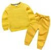 Nieuwe lente nieuwe peuter babymeisjes kleren set lange mouw sweatshirt broek 2pcs jongens sportpak meisjes outfits