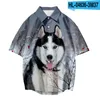 Men's Casual Shirts Siberian Husky Dog Print Short Sleeve Fishon Men's Women T Shirt Unisex Blouses TopsMen's