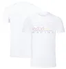 2023 New Formula One Formel One Racing Suit Team Fans T-shirt Men's Short Sleeve Car Work kläder Anpassade förstorade