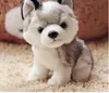 Gros jouet en peluche husky super mignon animal petit chien gris husky jouets en peluche 18 cm 7 "pouces