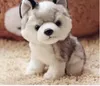 Großhandel Husky-Plüschtier, super süßes Tier, kleiner Hund, grauer Husky, Stofftiere, 18 cm, 7 Zoll