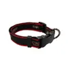 Designer per cani Designer di guinzagli per animali domestici Impostare Luxury Gilded Letter Pattern Collars Dog Col