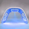 LED Light Therapy Machine 6 kleuren koude nano spray lamp gezichtshuid verzorging verminder rimpels