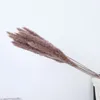 Small Reed Dried Flower Whisk Pampas Grass Rabbit Dried Flower Set Boho Home Decor Bouquet