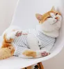 Cat Professional Recovery Suit for Abdominal Wounds or Skin Diseases E-Collar Alternative for Cats and Dogs After Surgery Wear Pajama Suits