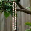Splendida collana perla multi-viola da 10 mm in acqua dolce