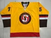 CEUF 2020 Stockton Heat Hockey Jersey Hockey Jersey Borderyer Stitched Personalize qualquer número e nomes Jerseys