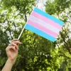 14X21 cm Bandiere Arcobaleno Con Pennoni Arcobaleno Palmare Gay Lesbiche Omosessuali Transgender Pansessualità Bisessuale LGBT Pride