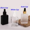 Bouteilles compte-gouttes en verre carré en gros 15 ml 30 ml 50 ml 100 ml contenant d'huile essentielle givré noir clair