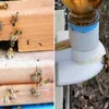 Alimentador de abejas de 10 piezas Entrada de miel Mantenimiento de la tapa Mantenimiento de equipos Herramienta de colmena Sistema de cría que Queen H2 220602