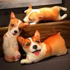 Pc Cm Kawaii D Realistisches Hundeplüschkissen Niedliche Gefüllte Weiche Puppen Schlafsofa Spielzeug Für Kinder J220704