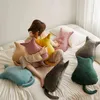 Cm Beautiful Colorful Cat Plush Pillow Funny Shadow For Room Decor Gift Filled Soft Animal Toy Bambini Ragazza J220704