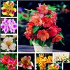 Andere tuinvoorraden Patio Lawn Home 100 PCS Alstroemeria Zaden Peruaanse Lily Inca Bandit Princess Bonsai Flower Planta