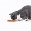 Cat Supplies عامة غذاء الحيوانات الأليفة المجففة للتجميد للبالغين للبالغين والشابة لا توجد صيغة صحية للحبوب مغذية