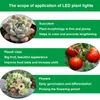 Tiras led lâmpada lâmpada full spectrum plantas mudas flor browenhouses jardim hidropônico cultivando planta lâmpada setificada