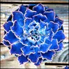 Andere Gartenlieferungen Patio Rasenhaus 50 PCs Mix Succent Samen Lotus Lithops Pseudotruncatella Bonsai -Pflanzen für Blumentöpfe Pflanzgefäße Drogen
