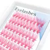 Färg Lash Extension Red Brown Blue Purple Colored Individual Eyelash Color Faux Mink ögonfransar Makeup Tool