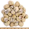 Oggetti decorativi Figurine Agata naturale non aperta Geode Cristallo Minerale Minerale Energia Gemma curativa Pietra fortunata Cluster Grotta Collezione Speci