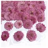 Couronnes de fleurs décoratives 12 pièces/24 pièces Zinnia violet pressé séché pour résine fleur naturelle fabrication de bijoux fabrication de savon et de bougiesdécoration