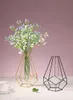 Nordic Simple Golden Glass Vase Hydroponic Plant Flower Vase Iron Geometric Glass Test Tube Metal Plant Holder Modern Home Decor 220809