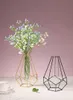 Nordique Simple Vase En Verre Doré Hydroponique Plante Fleur Vase Fer Géométrique Verre Tube À Essai En Métal Plante Titulaire Moderne Décor À La Maison 220809