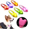 Collares para perros Correas Luminous Pet Pendant With Collar Led Cat Etiqueta personalizada Night Light AccessoriesDog