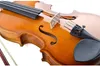 High-end boutique fiol Spruce Plywood Bright Tiger Mönster Maple Violin Electric Violin4/4 Professional Spela med låda