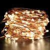 Strings String Licht Koperdraad Holiday Fairy Garland voor Kerstmis Buiten Wedding Home Decor DC 12V 10m 20m 50mled LED
