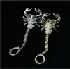 Anneau élastique scorpion européen et américain flash diamant chaîne hip hop punk exagéré accessoires couple modèles haute qualité livraison rapide