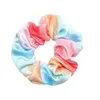 12 stycken Velvet Pocket Hair Scrunchies Hidden Rainbow Ties Elastic Zipper Colorful Bands 220708