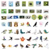 50 stks Skateboardstickers Persoonlijkheid Vogels voor auto Baby Scrapbooking Potlood Case Dagboek Telefoon Laptop Planner Decoratie Book Album Kids Toys Diy Decals