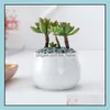 Jardinières Pots Fournitures de jardin Patio Pelouse Accueil Céramique blanche Petit pot de fleurs succulentes Mini table Pot de plante CTU Dhfqp