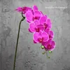 Fiori decorativi Ghirlande Fiore artificiale Farfalla nera Orchidea Seta Phalaenopsis Per matrimonio Christams Decorazione domestica Giardino in vaso