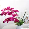 Orchidee di seta Finto stelo singolo Vanda Phalaenopsis Oncidium Moth Orchid per fiori decorativi artificiali per la casa di nozze